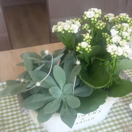 In Stadtvilla Andrea Апартаменты Тённинг